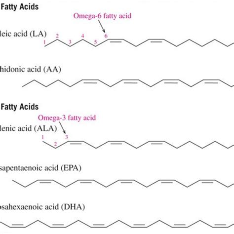 omega 3 neuropathy